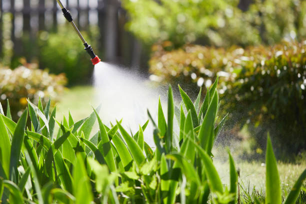 24/7 Emergency Ant Control experts in Blue Jay, OH