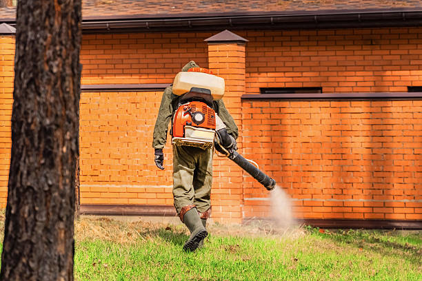 Top rated local Ant Control specialists in Blue Jay, OH